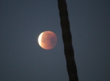 Eclipse of the Super Blue Blood Moon